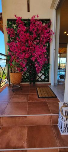 Kato Diminio House | Καταφύγιο Θάλασσας και Πράσινου Περιβάλλοντος