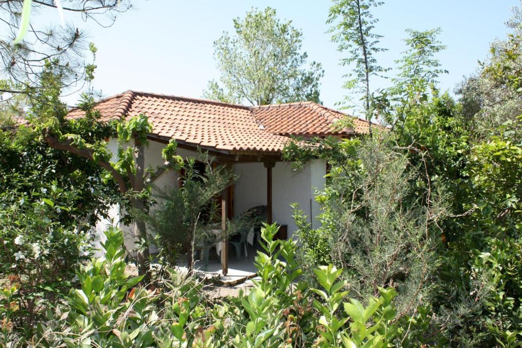 Kakovatos House | Nikos 5
