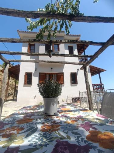Zagora-Mouresi Apartment | Panorama