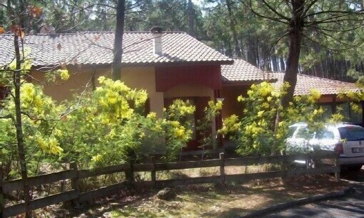 Moliets-et-Maa House | Seaside and woodland vacations near San Sebastian, Capital of Culture 2016.