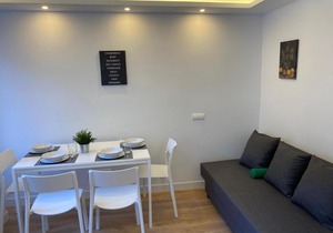 NUEVOS PLAZA CASTILLA-CASTELLANA Apartments