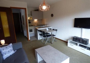 Studio confortable 25m² pour 4 personnes au Chinaillon - FR-1-458-113