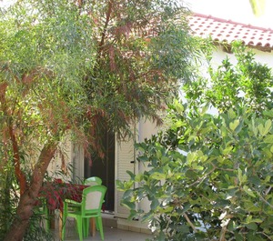 Calm Located Olive Grove The Beach Holiday 