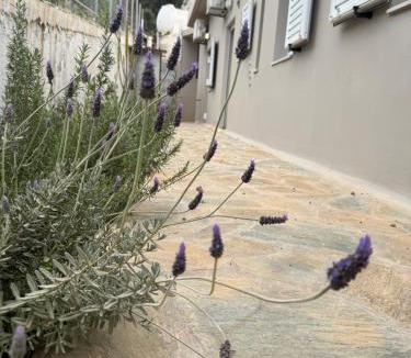 Agios Nikolaos House | Casa Negiada