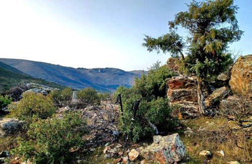 Hontanar House | Casa Rural Las Lanchas