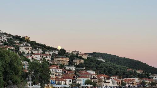 Afissos Villa | Iris Sea View Villa