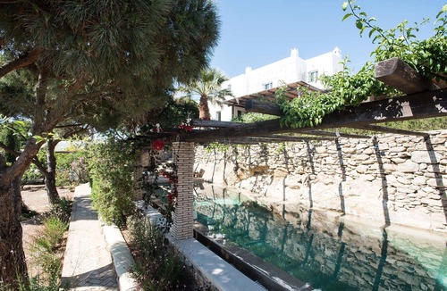 Drafaki Villa | My Rental Homes - Villa Oasis with infinity pool surrounded by the garden