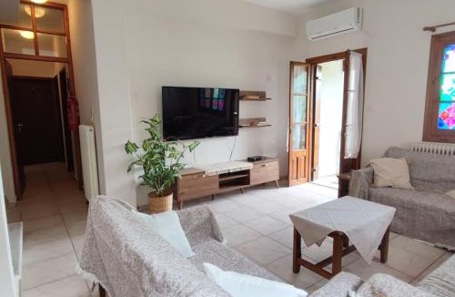 Zagora-Mouresi Apartment | Panorama