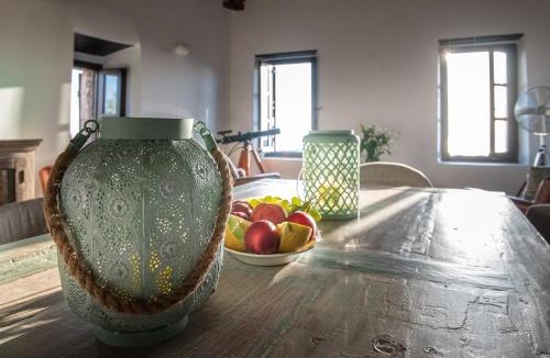 Lefktro Villa | PositiveSpace Olive Tree