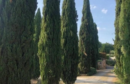 Poggiarello Apartment | Private pool between Siena and San Gimignano