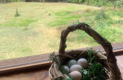 Cooran Cottage | Rosecliffe Cottage Cooran