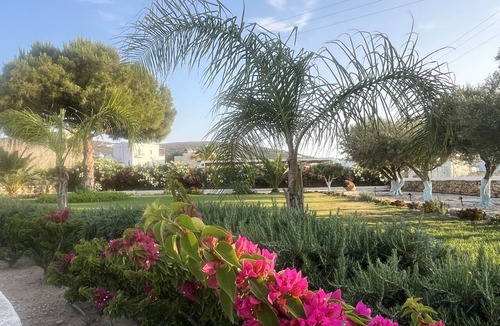 Posidonia Villa | Villa Loretta: Pool, Jacuzzi & Organic Garden. 2 min from the beach!