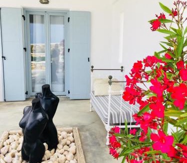 Koufonisia Apartment | VILLA THEIA - SELENE , appartement de charme pour 4 à 6 personnes prés de la plage et du village de Koufonissi