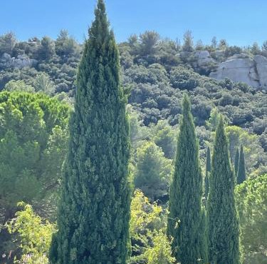 Agapi Mou in Les Baux-de-Provence