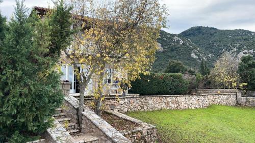 Alemarni Parnassos