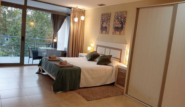 Amplio Alojamiento, Céntrico y Tranquilo, Aire Ac., Wifi, Ascensor, 4 PAX