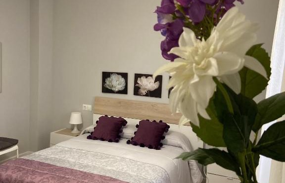 Apartamento Venus
