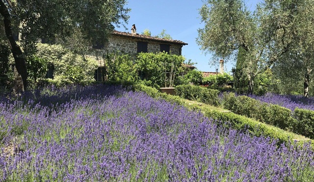 Beautiful private villa with private pool, WIFI, TV, patio and panoramic view, close to Lucca