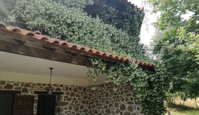 Beautiful stone house in Politika