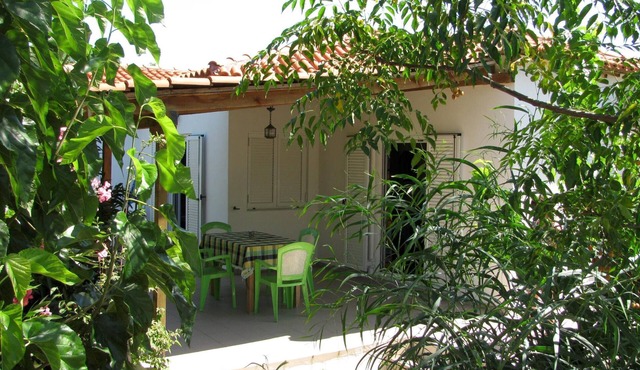 Calm located, amid an olive grove, close to the beach, wifi | holiday house Ilia