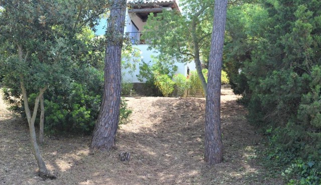 Casa minipa