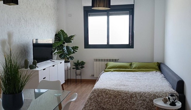central and comfortable apartment
