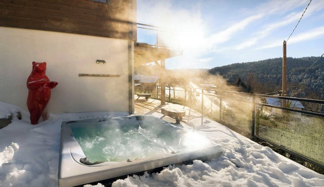 Chalet L'Ursus - Les Vosges with garden and wellness area - OVO Network