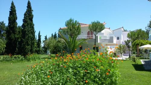 Chroma Studios in Oreoi