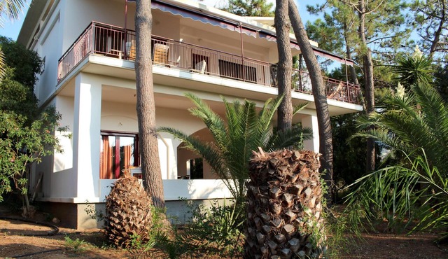 Comfortable apartment, close to the beautiful beach, wifi | Messenia, Peloponnes