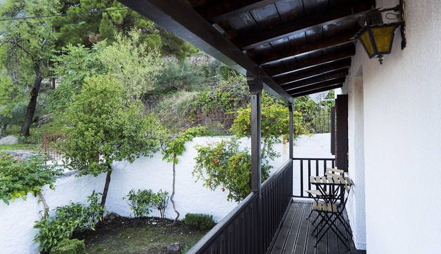 Dandy on the Hill in Parnassus| Villa Pasifne - Amfikleia Village |
