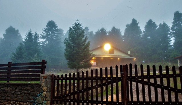 Dandy Villas Elatodasos - Chalet Artemis - Fir Forest - Jeep & Nature Lovers