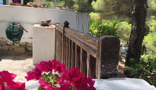 Discover Your Enchanting Retreat in Villa Rhodos Skiathos