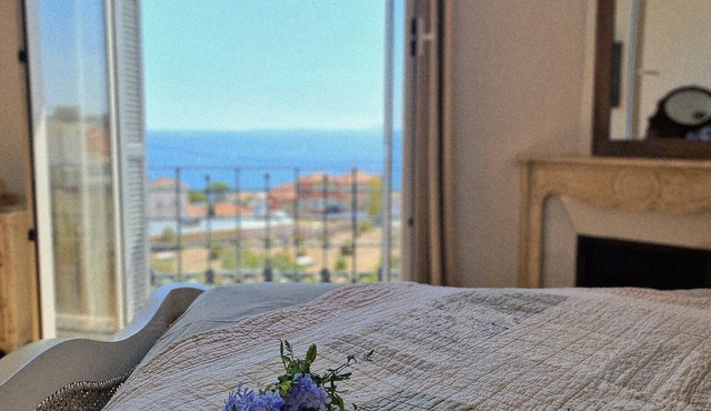Elegant villa in Nice, ocean view, walking distance to beach, harbor, oldtown