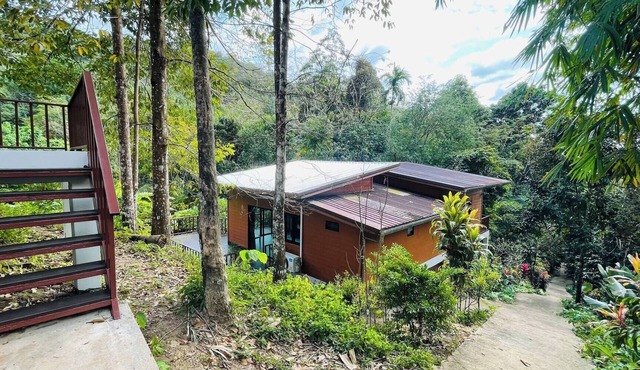 Fill your heart with nature at House of Lee#1