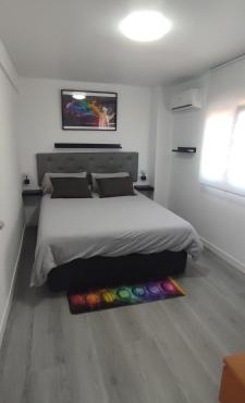 Habitación paloma