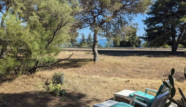 Independent studio 35m2 facing pond and beach