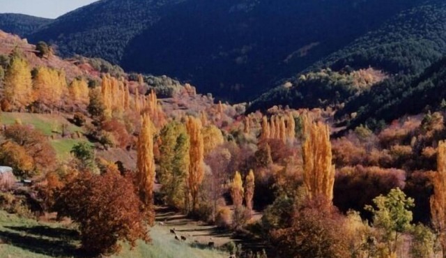 lo pallé de lime bosch magnificent Pyrenees cottage 12 km from Sort