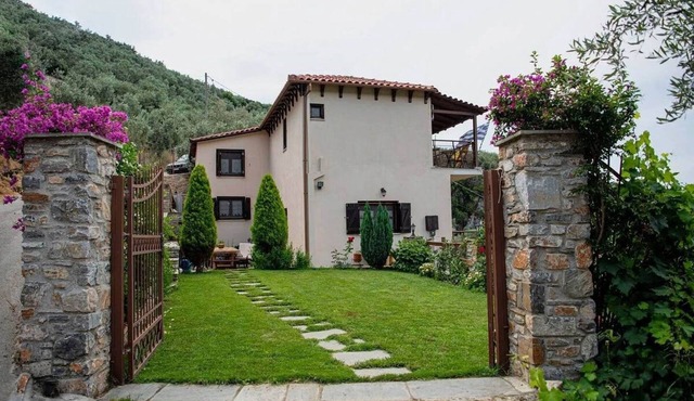 Luxury Mansion in Pelion Hills