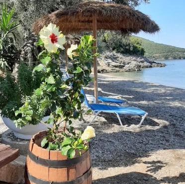 Marathias beach Miss Asimenia