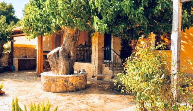 Panorama Traditional Village House