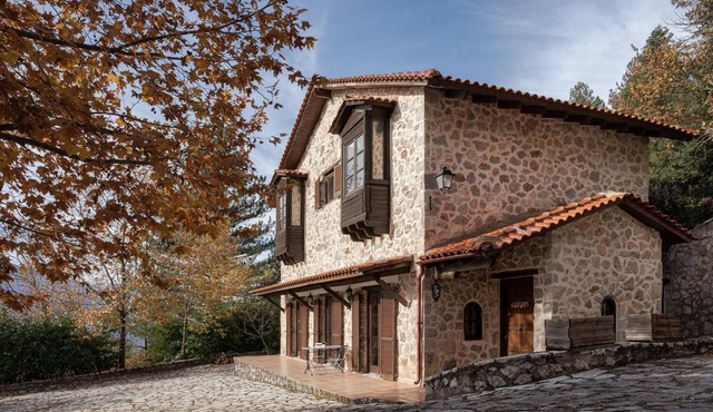 Parnassus Woodstone Chalet