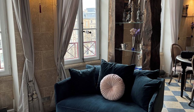 PLACE DAUPHINE, 17th Century, next Notre Dame, Exceptional Duplex, 2BR, 2,B, AC