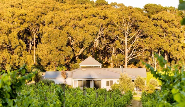 Polperro Winery Villas - Villa 1
