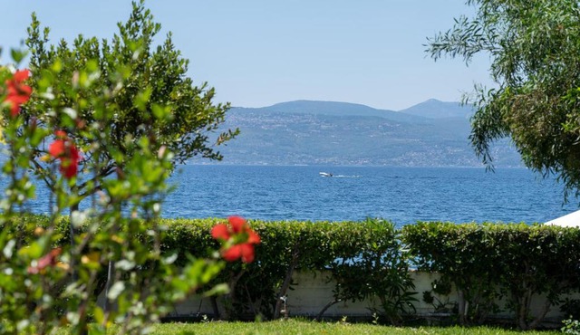 Posidonia Pension