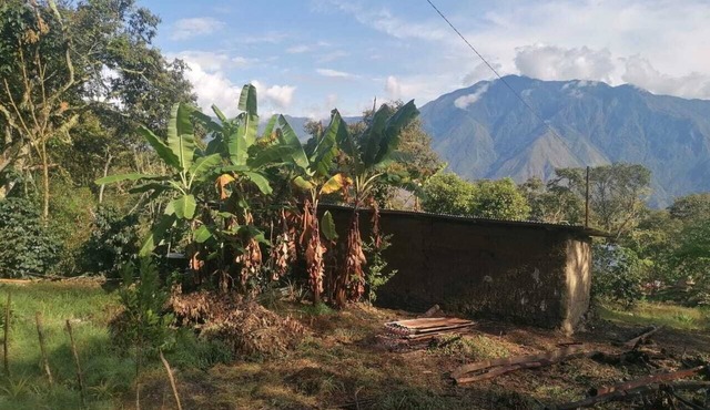 Private jungle ecolodge - whole estate & cafés