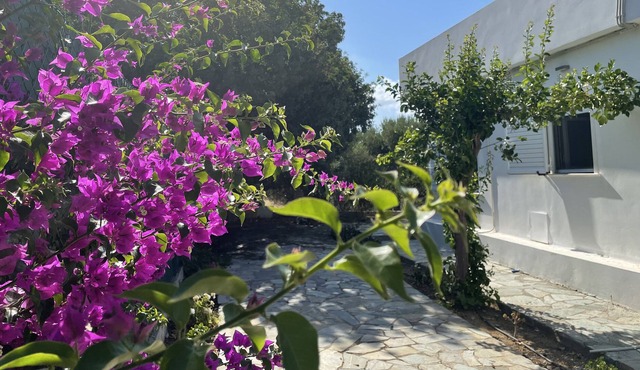 Private villa surrounded by olives -5 min walk from downtown/beach