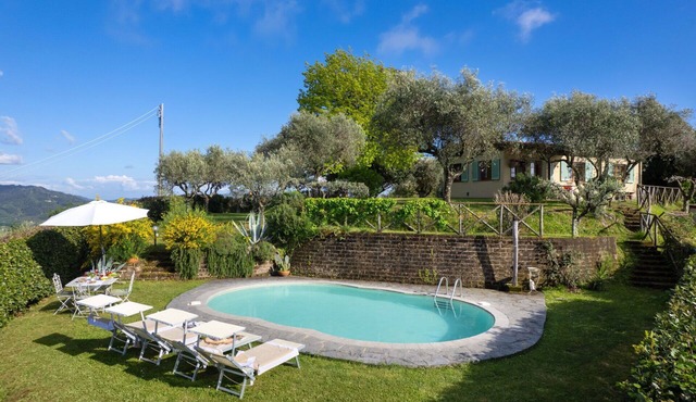 Private Villa with private pool, WIFI, TV, patio, pets allowed, panoramic view, close to Viareggio