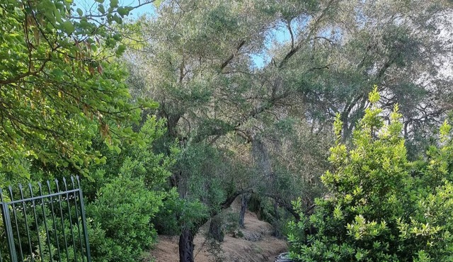 Romantic Villa 5 minutes from Kontogialos beach