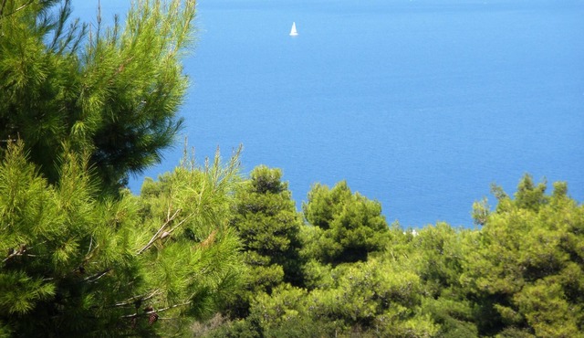 Romantic Villa, panoramic sea view & explore Athens