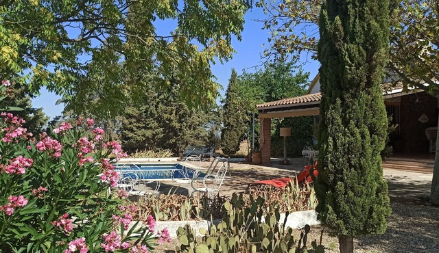 Rural house 3 GREEN STARS (full rental) Finca el Palomar for 8 people